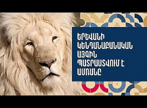 Երևանի կենդանաբանական այգին պատրաստվում է