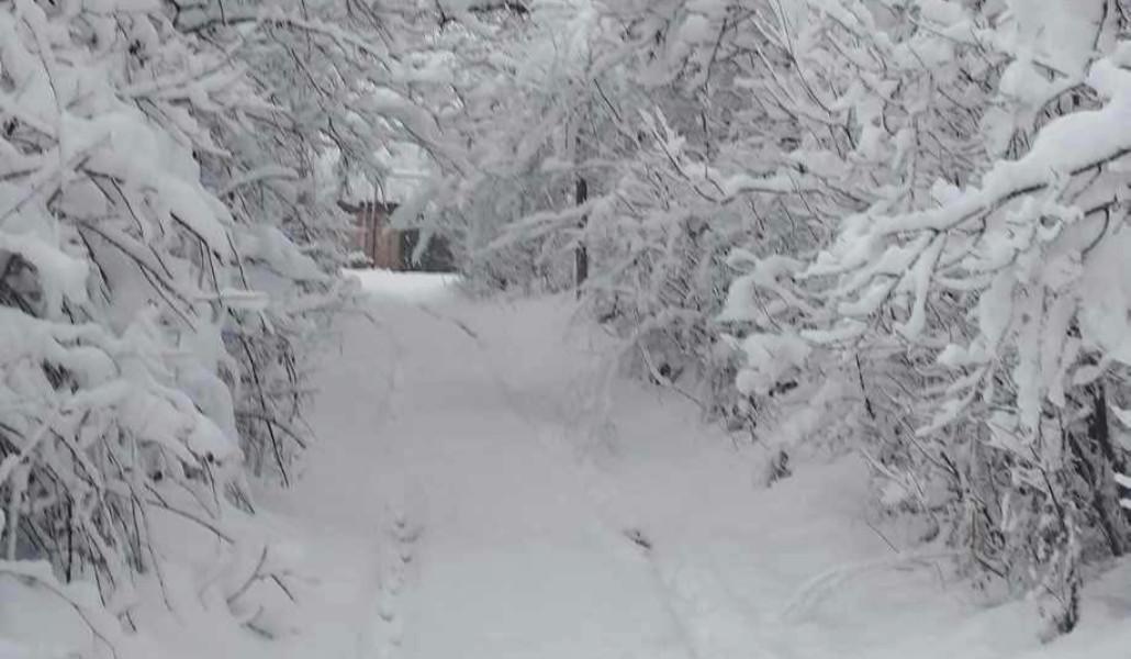 485904496_9715002551896240_6338859768853498860_n