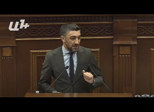 էս մեղադրանքներով ես խնդիր ունեմ կողմ քվեարկելու և թույլատրելու, որ Աղազարյանի գործը տանեն դատարան