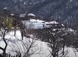 Անտառի խորքերի վերջին բնակիչները