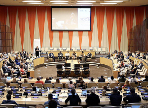 Հայաստանն ընտրվեց ՄԱԿ Զարգացման ծրագրի, ՄԱԿ Բնակչության հիմնադրամի և ՄԱԿ Ծրագրերի իրականացման գրասենյակի Գործադիր խորհրդի անդամ