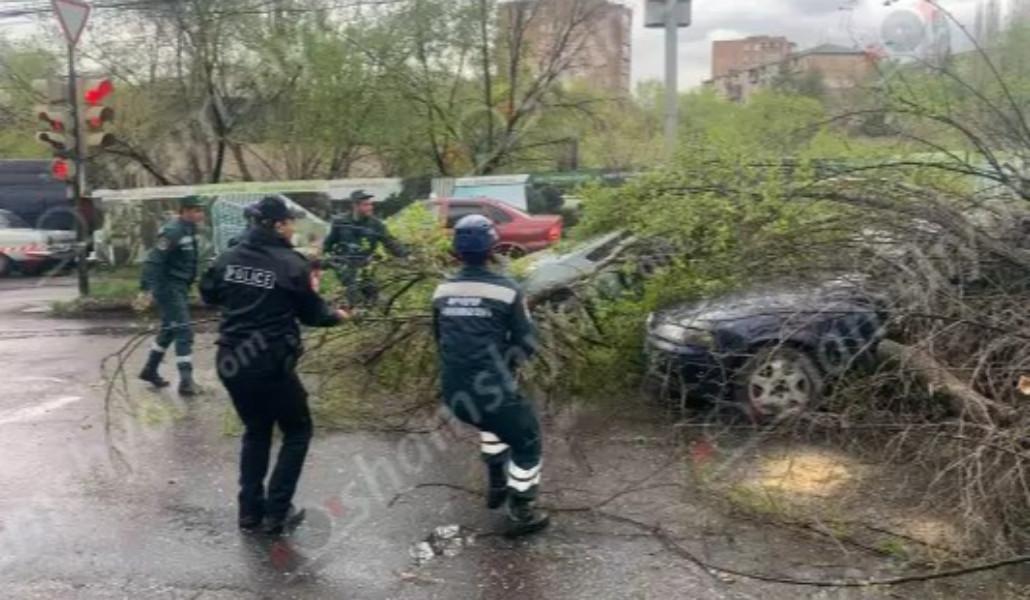 photo_2025-04-09_19-51-58