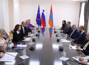Հայաստանի և Սլովենիայի ԱԳ նախարարների հանդիպումը