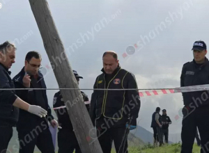 Էլեկտրալարերի պատճառով հովիվը զոհվել է. Shamshyan.com