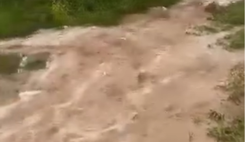 Screenshot 2025-05-14 084236