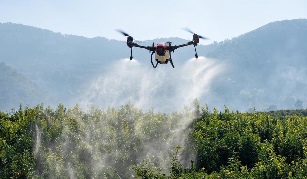 500043920_1008327244811450_5263564414706862527_n