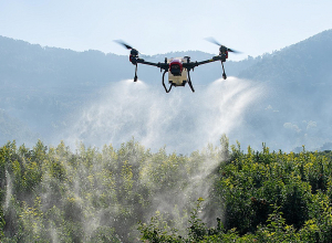 Հրազդանի անտառներում կենսաբանական պայքարի աշխատանքներ կիրականացվեն՝ մուտքն արգելվում է