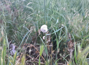 Օդի ջերմաստիճանը կբարձրանա