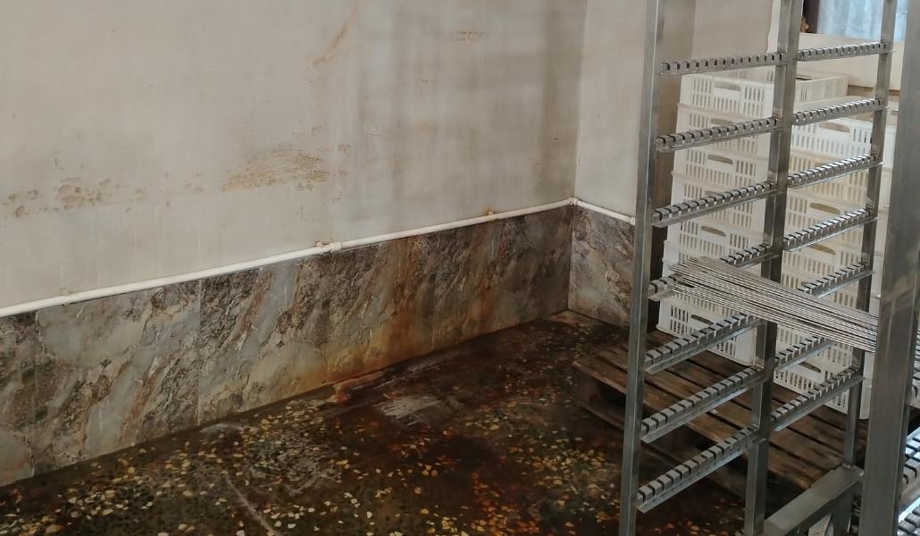 503854819_1115600273937690_8806577428228421394_n