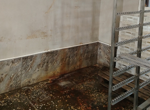 Ձկնամթերքի արտադրամասի արտադրական գործունեությունը կասեցվել է