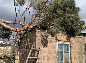 Արագածոտնի, Լոռու, Շիրակի մարզերում վնասվել են տանիքներ, տապալվել ծառեր
