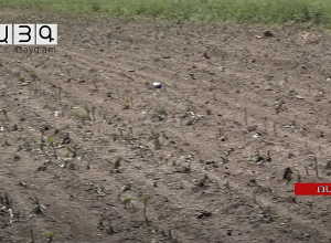 Բերքի փոխարեն պարտքերը կաճեն.կարկուտը տարել է ոսկե հասկերը