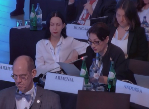 Լիլիթ Գալստյանը ելույթ է ունեցել ԵԱՀԿ ԽՎ նստաշրջանում