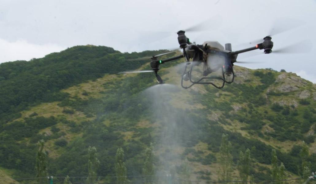 514791030_1161861365983245_8121160883682250914_n