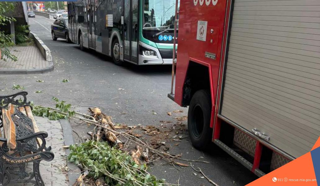 ՀՀ ՆԵՐՔԻՆ ԳՈՐԾԵՐԻ ՆԱԽԱՐԱՐՈՒԹՅԱՆ ՓՐԿԱՐԱՐ ԾԱՌԱՅՈՒԹՅՈՒՆ (3)