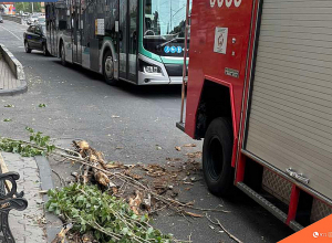 Փրկարարներն օգնության են հասել քամուց տուժած քաղաքացուն