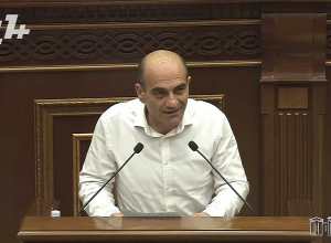 Թադևոս Ավետիսյանն առաջարկեց Արծվիկ Մինասյանի գործով «քրեական» բառը փոխարինել «քաղաքական» բառով