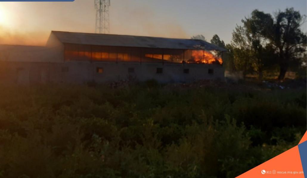 photo_2025-07-13_23-22-16