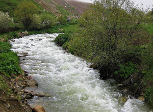 Կանխվել է մազութի հոսքը Ողջի գետ․ կիրականացվի գետի ջրի որակի նախնական գնահատում