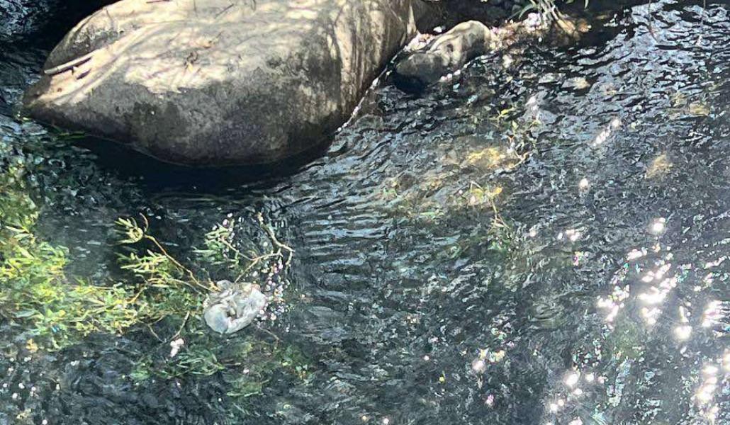 518329142_1077527584568610_9164707941708165091_n