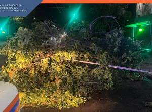 Քամու հետևանքով գրանցվել է 33 արտակարգ դեպք