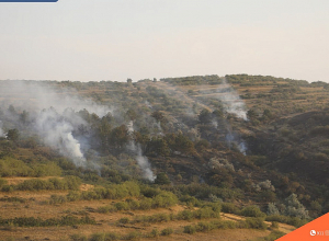 Հրշեջ-փրկարարները մարել են Ձորաղբյուր գյուղի բուսածածկ տարածքում բռնկված հրդեհը