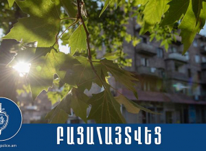 Դանակի սպառնալիքով  օտարերկրացի մի առաքչից վերցրել ԷԻՆ գումար և հեռախոս