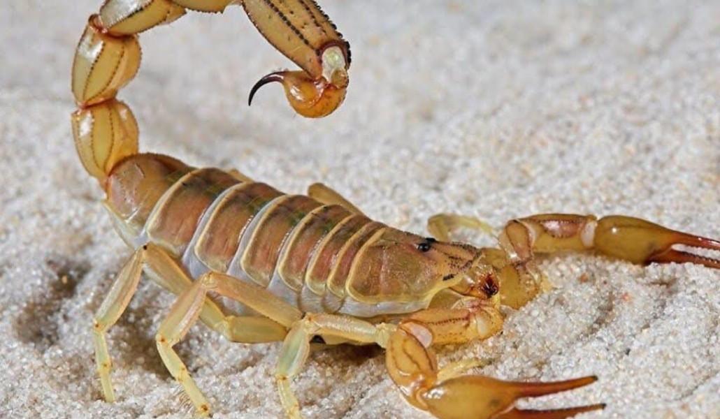 528221670_1344467274349037_3665075242180538128_n