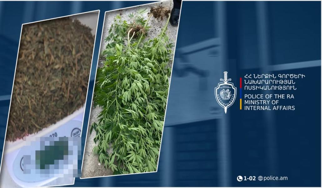 528636299_1138094785010539_8317340463570932517_n