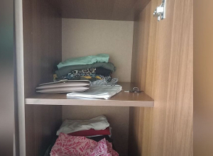 Գողացողը համագյուղացի կին էր