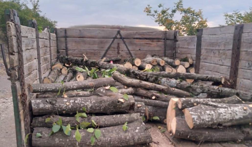 532346096_1176468937841663_2433276771848987560_n