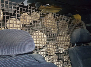 Վարորդը փայտանյութի օրինականությունը հավաստող փաստաթուղթ չի ներկայացրել