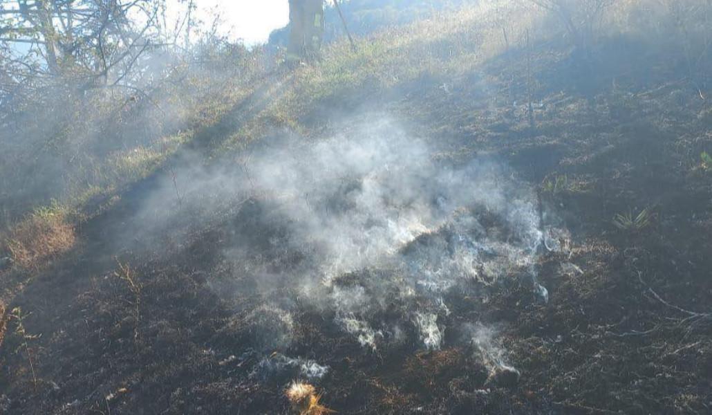 538262086_1186413183513905_6362467822215773209_n