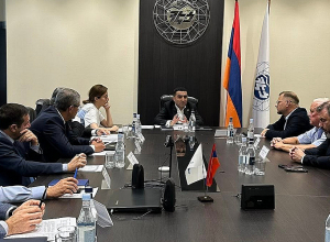 Ռոմանոս Պետրոսյանը հանդիպել է «Կասկադ Էներգո»-ի ղեկավար կազմի հետ