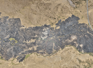 Հրդեհի հետևանքով բուսական աշխարհին պատճառված վնասի փաստով ԲԸՏՄ-ն հաղորդում է ներկայացրել Քննչական կոմիտե