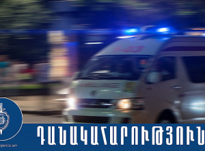 Խոհանոցային դանակով տղամարդուն հարվածել էր 39-ամյա եղբայրը