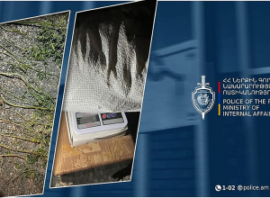 Տնամերձ հողամասում շուրջ 1 կգ 400 գրամ կանեփ են հայտնաբերել