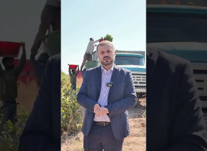 Խաղողի մթերման գործընթացում խնդիրներ չեն առաջանա․ Պապոյան