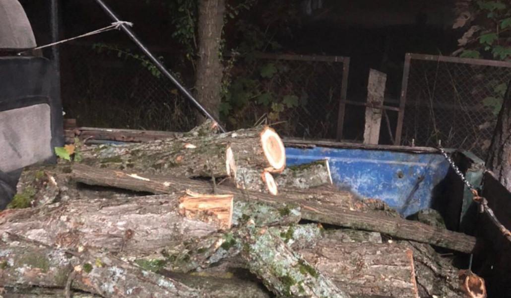 550683077_1209520111203212_6272827512148868681_n