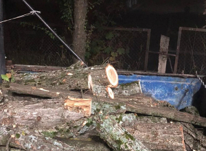 Ապօրինի կաղնու փայտանյութով մեքենան տեղափոխվել է պահեստային տարածք