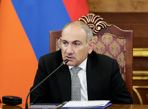 Վարչապետ Փաշինյանն ընդունել է «Save Armenia» կազմակերպության ներկայացուցիչներին