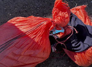 10 կիլոգրամից ավելի մարիխուանայի հայտնաբերում Վայոց ձորում