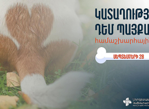 Կատաղությունը կենդանիներից մարդուն փոխանցվող մահացու վիրուսային հիվանդություն է