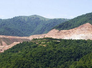 Տավուշում փրկարարները հայտնաբերել են Թեղուտի անտառում մոլորված արշավախմբին