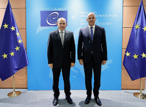 Նիկոլ Փաշինյանը և Ալեն Բերսեն բարձր են գնահատել ՀՀ-ԵԽ համագործակցությունը