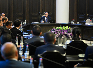 Ֆանտան գյուղում կզարգանա ծաղկաբուծությունը․ կառավարությունը տրամադրել է մաքսային արտոնություն