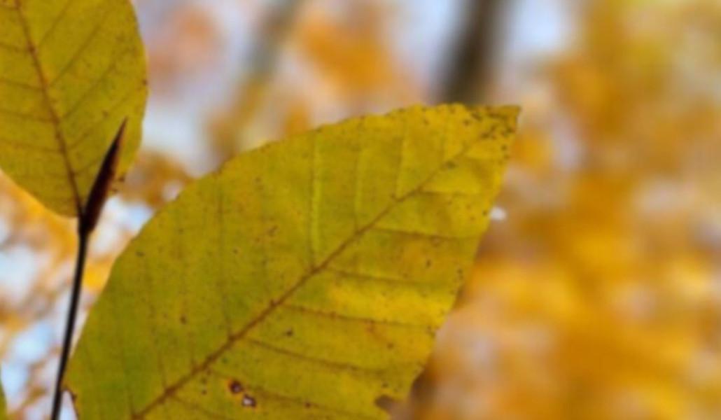 558190707_845695624477565_8020958709273734156_n