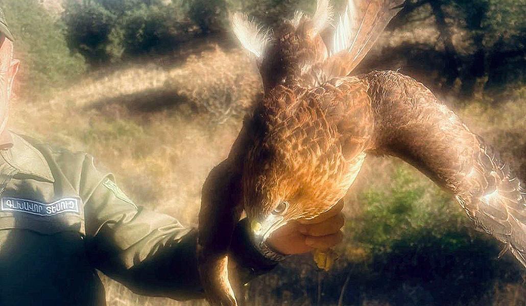 570551143_1290255526464799_209619841203785782_n