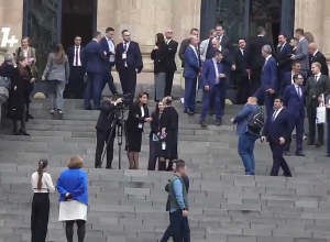 Եվրոպացի պատգամավորները հետեւում են ԱԺ–ի դիմաց տեղի ունեցող բողոքի ակցիային