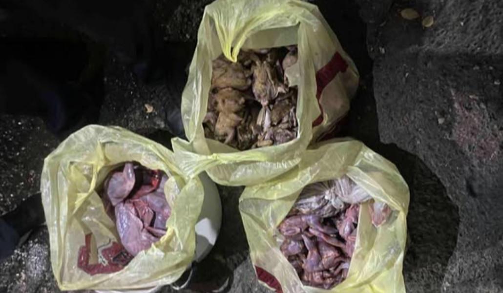 574575070_1296147375875614_561801271600803586_n